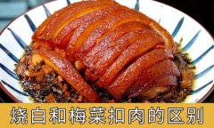 鲜香笋干烧白